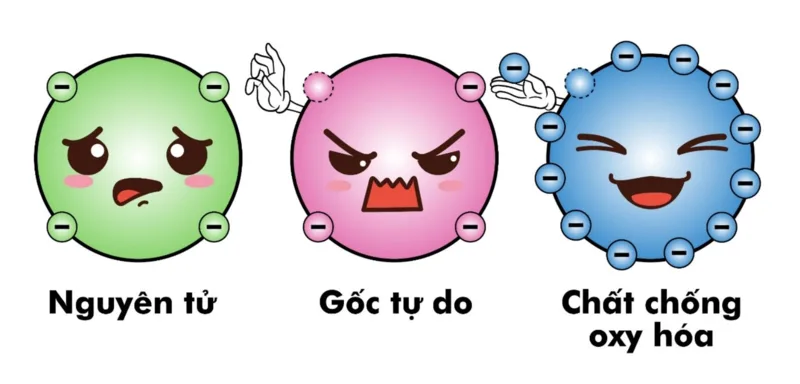 Gốc tự do và các dạng oxy phản ứng được tạo ra trong quá trình chuyển hóa bình thường của tế bào