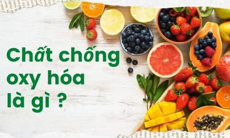 Chất chống oxy hóa có thể hiểu là các chất giúp hạn chế hoặc làm chậm một số dạng tổn thương oxy hóa trong tế bào