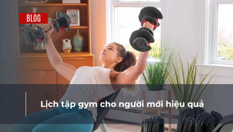 Lịch tập 3 buổi mỗi tuần phù hợp với người mới vì dễ duy trì, tập đủ nhóm cơ và có thời gian phục hồi.
